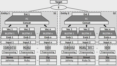 Knowledge Transfer for Entity Resolution with Siamese Neural Networks featured image