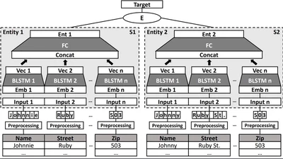 Knowledge Transfer for Entity Resolution with Siamese Neural Networks featured image